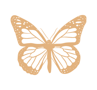 akashiques medium guidance energeticienne memoires akashiques image papillon