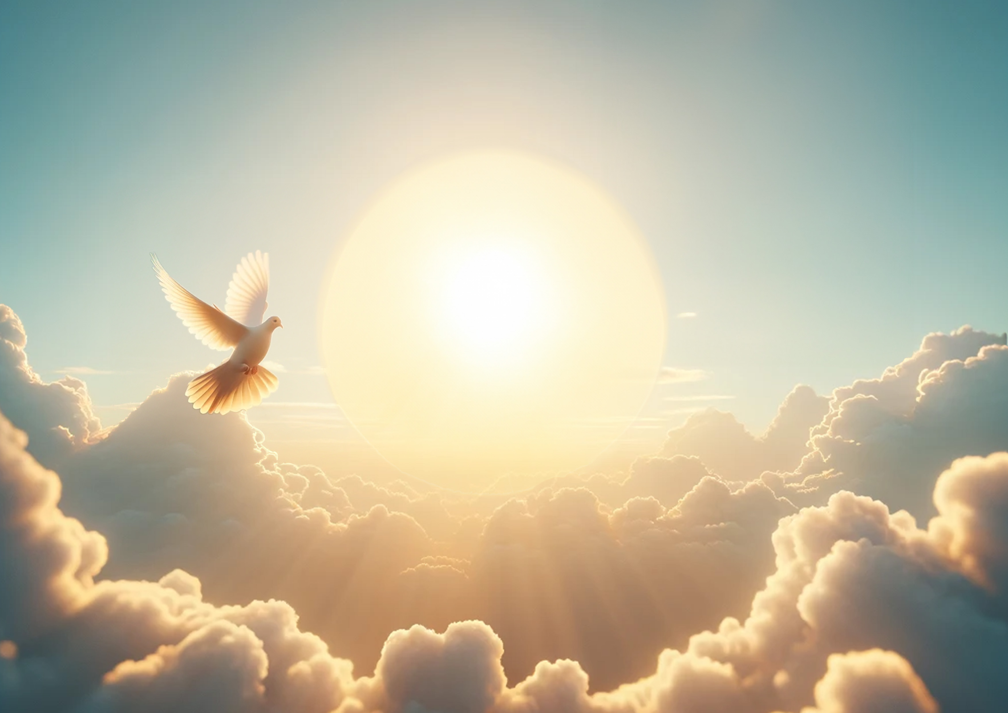  Nais toi ton ame colombe qui s'envole dans les nuage avec un levé du soleil