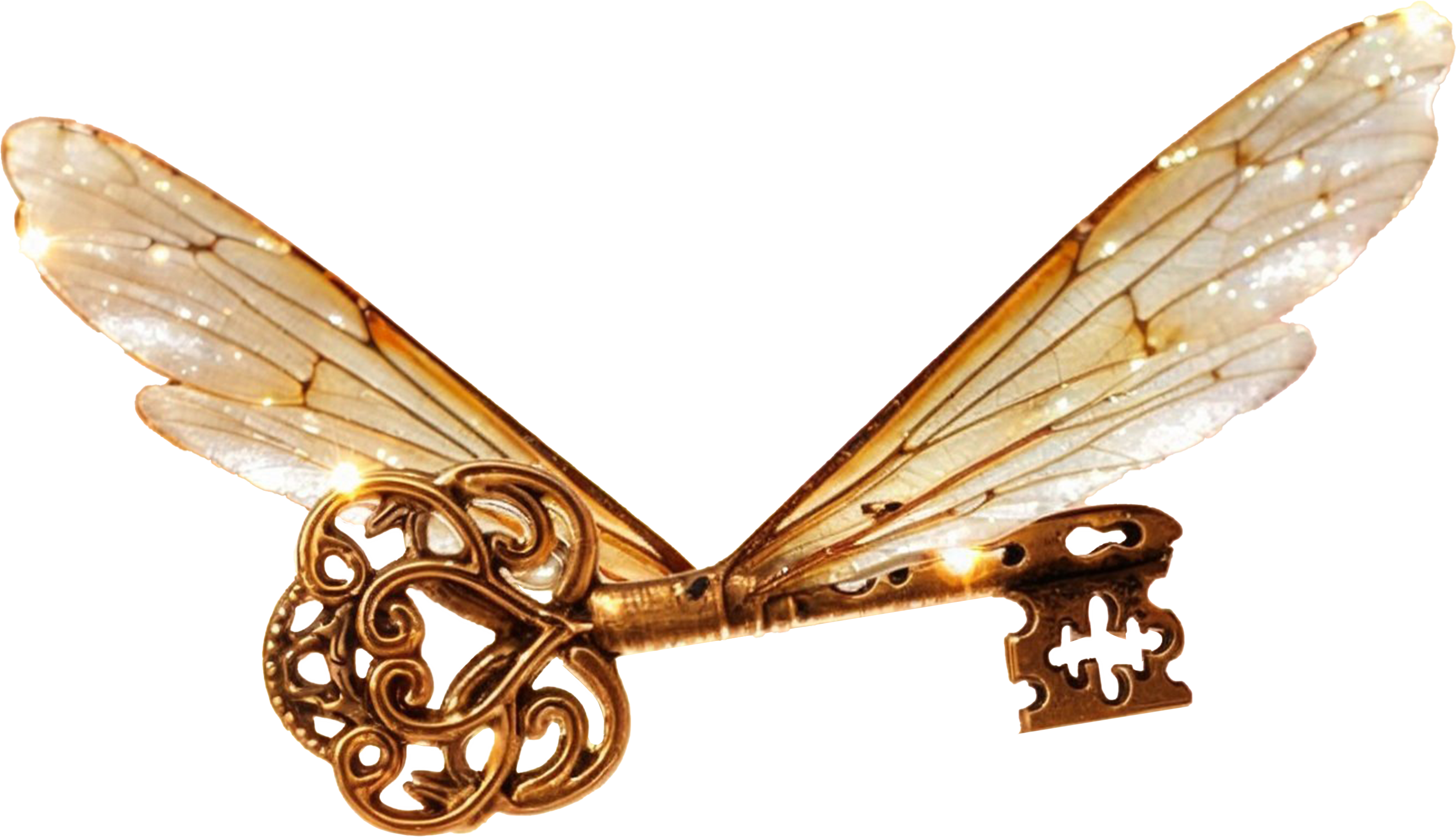 Nais toi ton ame clef ancienne avec des ailes